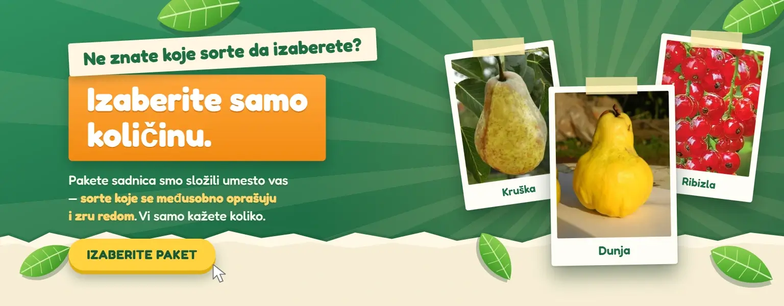 Tropsko voće
